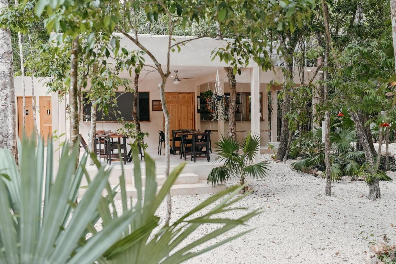 Lunita Jungle Experience Otel Puerto Morelos Dış mekan fotoğraf