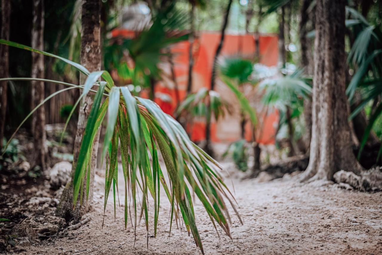 Lunita Jungle Experience Otel Puerto Morelos Dış mekan fotoğraf