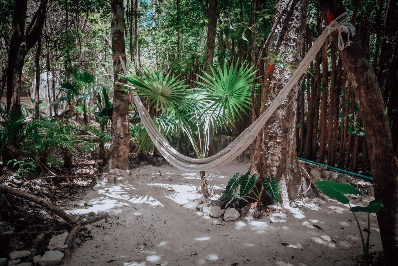 Lunita Jungle Experience Otel Puerto Morelos Dış mekan fotoğraf