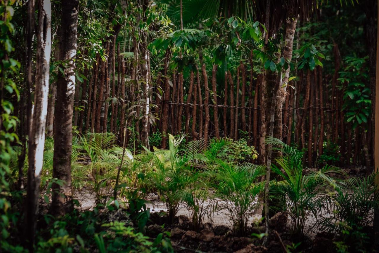Lunita Jungle Experience Otel Puerto Morelos Dış mekan fotoğraf
