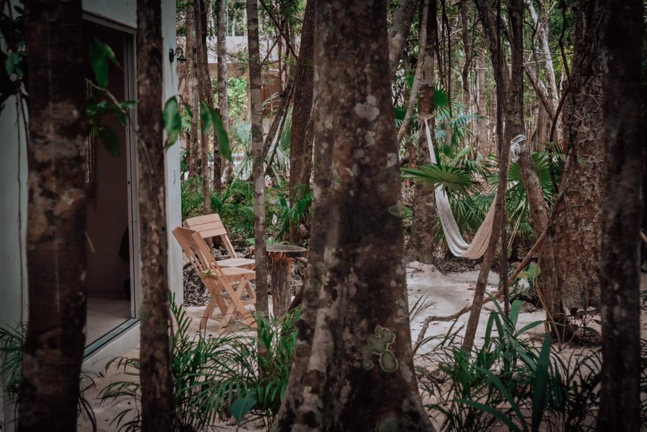 Lunita Jungle Experience Otel Puerto Morelos Dış mekan fotoğraf